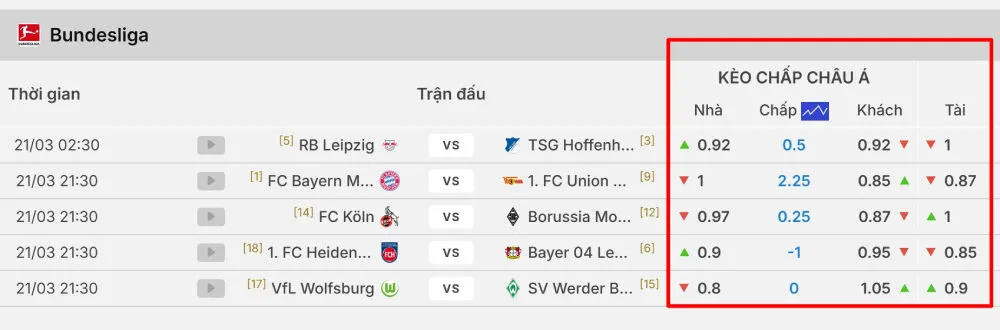 Thời điểm trước trận, kèo châu Á biến động rất mạnh